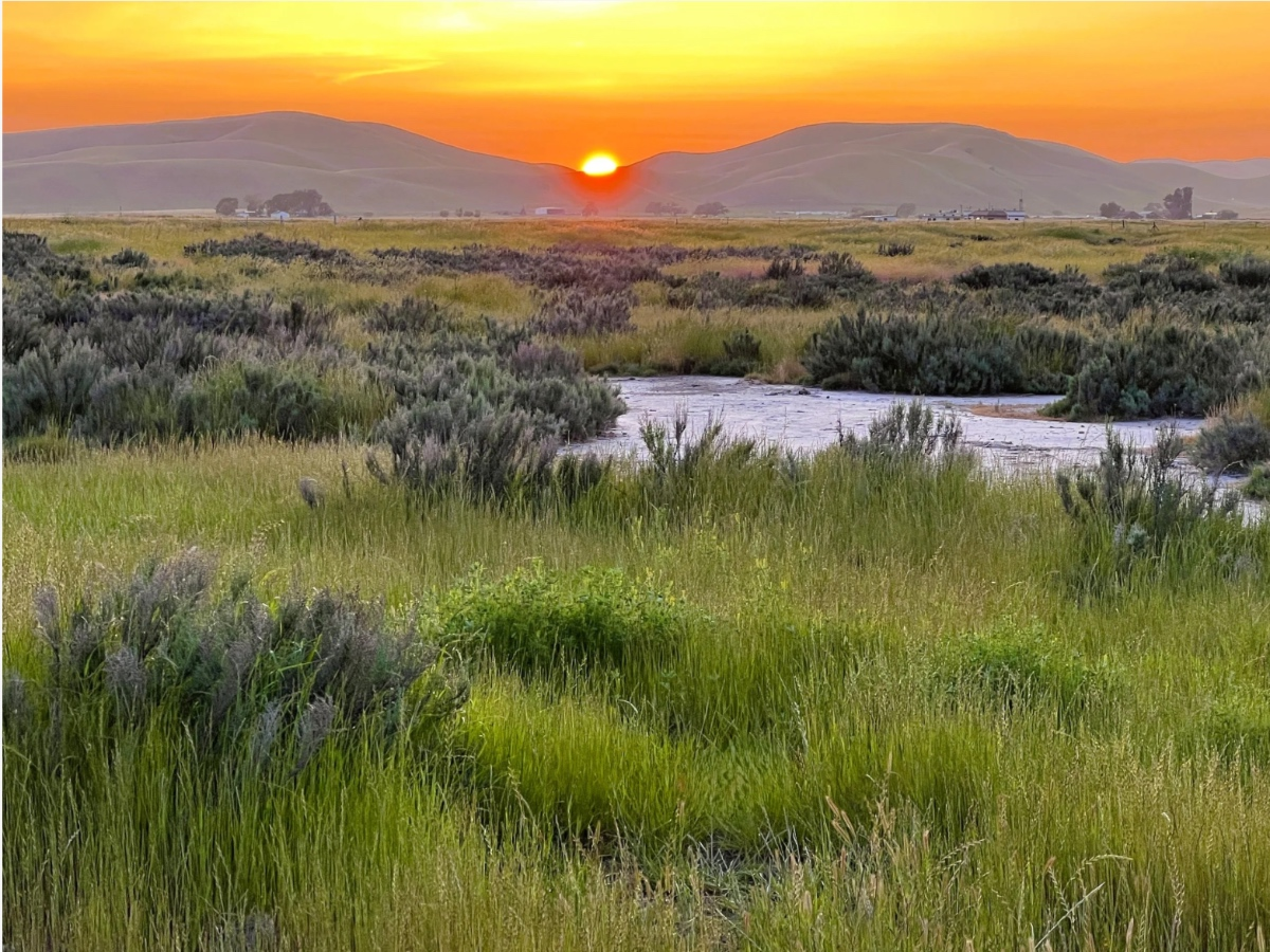331 Acres Of Tri-Valley Wildlife Habitat, Open Space Permanently Protected — Danville Patch, Laredo Community news