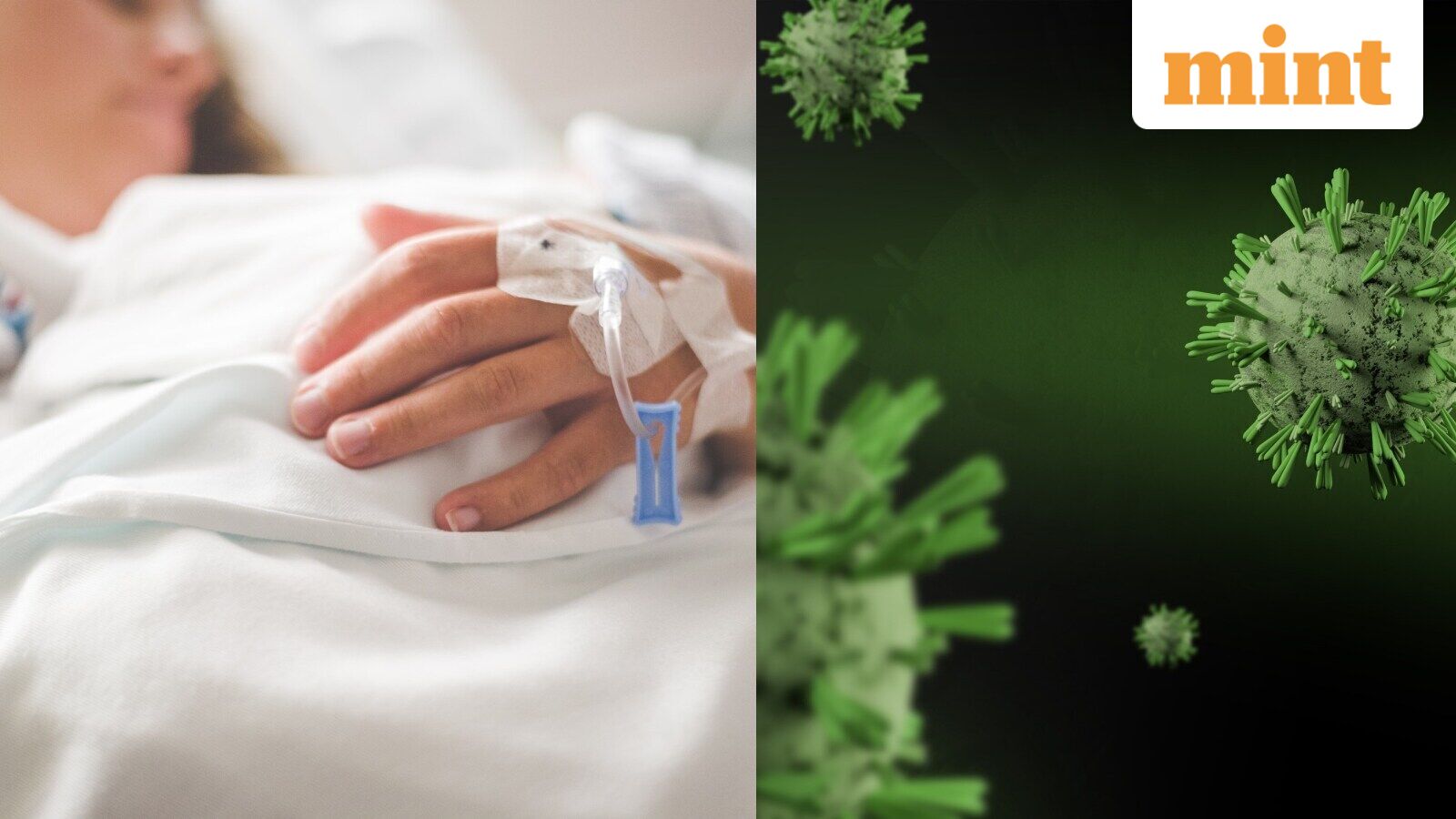 What is Shamonda virus? How is it transmitted? ECDC monitoring situation as France reports first, rare human case — Mint India, Laredo Technology news
